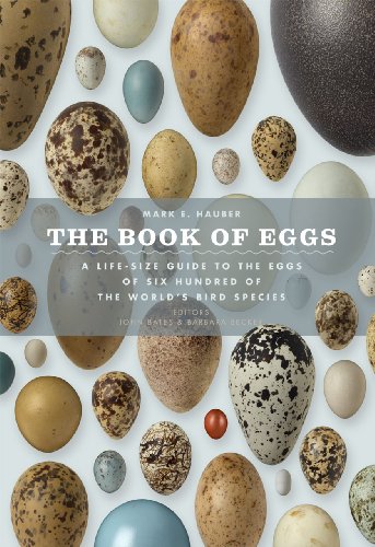 The Book of Eggs: A Lifesize Guide to the Eggs of Six Hundred of the World's Bird Species - Hardcover