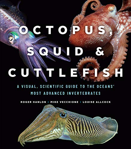 Octopus, Squid, and Cuttlefish: A Visual, Scientific Guide to the Oceans' Most Advanced Invertebrates - Hardcover
