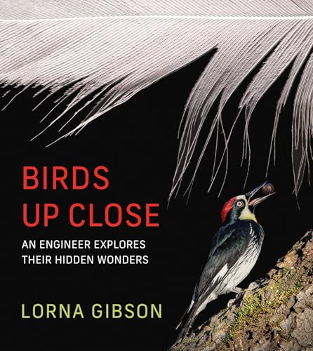 Birds Up Close: An Engineer Explores Their Hidden Wonders - Hardcover