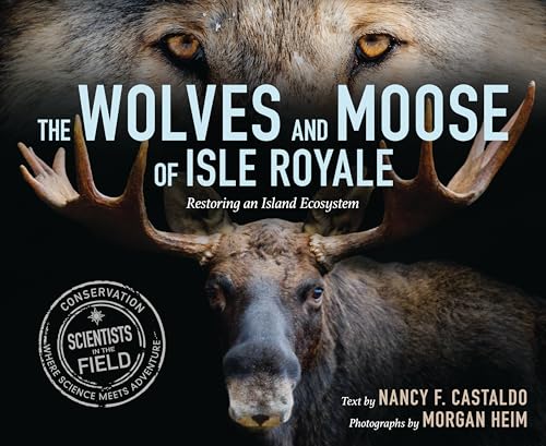 The Wolves and Moose of Isle Royale: Restoring an Island Ecosystem - Hardcover