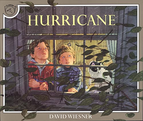 Hurricane - Paperback