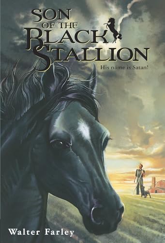 Son of the Black Stallion - Paperback