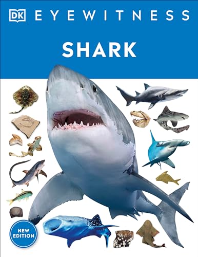 Eyewitness Shark: Dive Into the Fascinating World of Sharks - Paperback