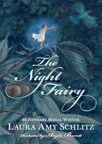 The Night Fairy - Paperback