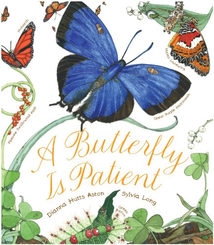 A Butterfly Is Patient - Hardcover
