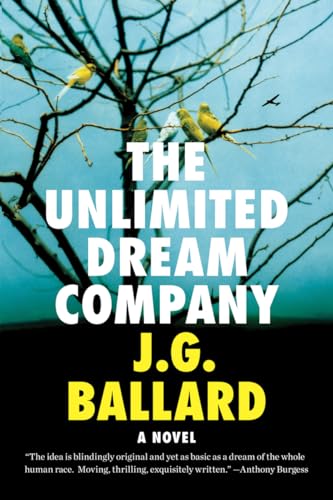 Unlimited Dream Company - Paperback