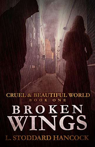 Broken Wings - Paperback
