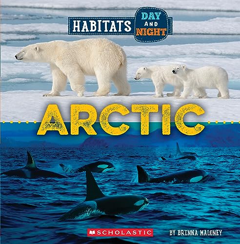 Arctic (Wild World: Habitats Day and Night) - Paperback