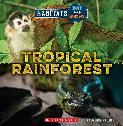 Tropical Rainforest (Wild World: Habitats Day and Night) - Paperback
