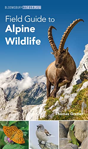 Field Guide to Alpine Wildlife - Paperback