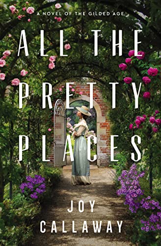 All the Pretty Places: A Novel of the Gilded Age - Paperback