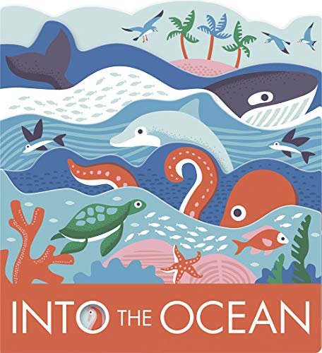 Into the Ocean: A Board Book - Board Books