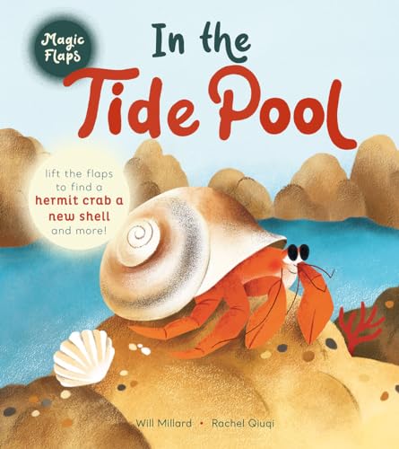 In the Tide Pool: A Magic Flaps Book - Board Books