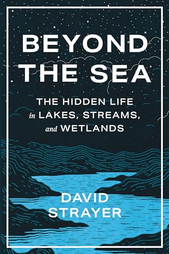 Beyond the Sea: The Hidden Life in Lakes, Streams, and Wetlands - Hardcover