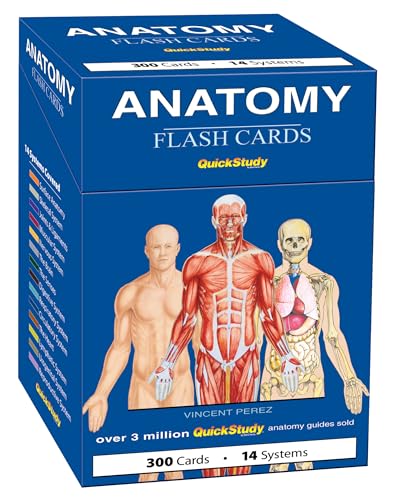 Anatomy Flash Cards: A Quickstudy Reference & Study Tool - Other