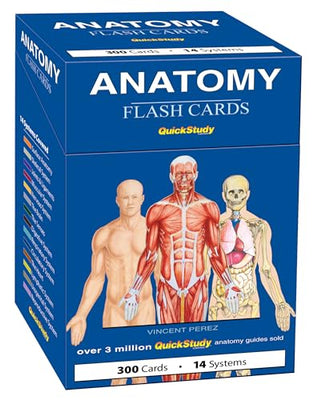 Quickstudy Reference Guides