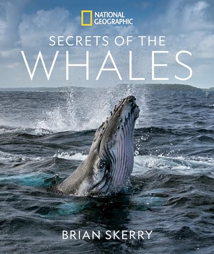 Secrets of the Whales - Hardcover
