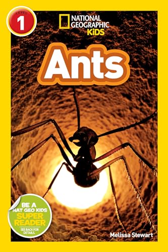 Ants (National Geographic Kids Readers, Level 1) - Paperback