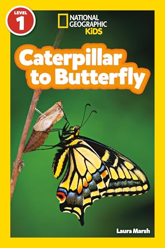 Caterpillar to Butterfly (National Geographic Kids Readers, Level 1) - Paperback
