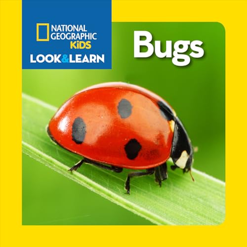 National Geographic Kids Look & Learn: Bugs - Board Books