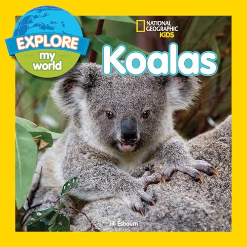 Explore My World: Koalas - Paperback