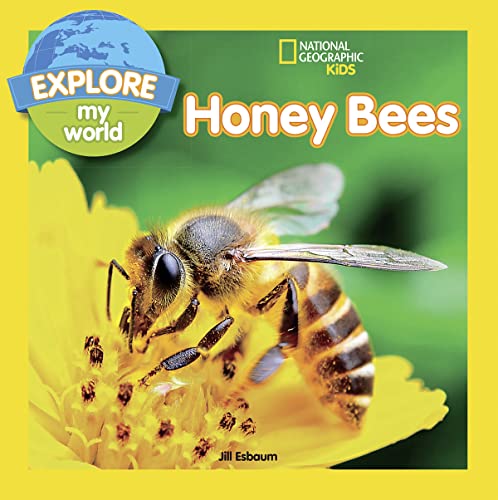 Explore My World: Honey Bees - Paperback
