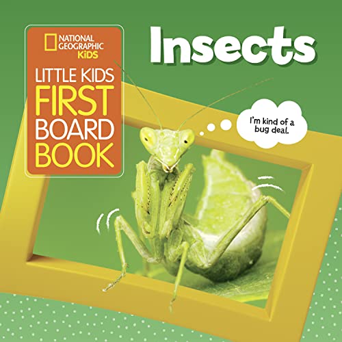 National Geographic Kids Little Kids First Board Book: Insects - Board Books