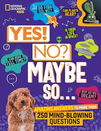 Yes! No? Maybe So...: Amazing Answers to More Than 250 Mind-Blowing Questions - Hardcover