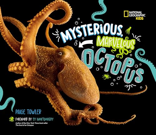 Mysterious, Marvelous Octopus! - Hardcover