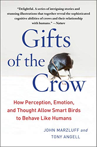 Gifts of the Crow: How Perception, Emotion, and Thought Allow Smart Birds to Behave Like Humans - Paperback