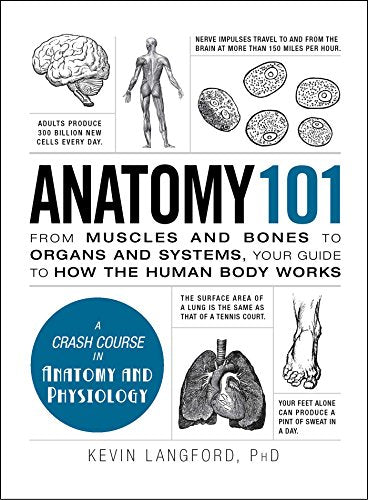 Anatomy 101: From Muscles and Bones to Organs and Systems, Your Guide to How the Human Body Works - Hardcover