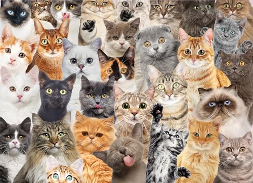 All the Cats 500 Piece Jigsaw Puzzle - Other