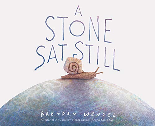 A Stone SAT Still - Hardcover