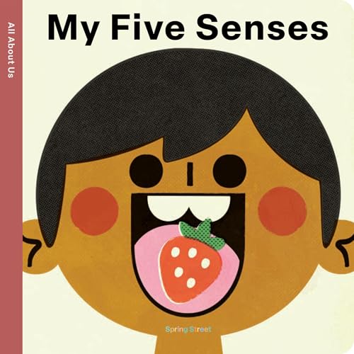 Spring Street All about Us: My Five Senses - Board Books