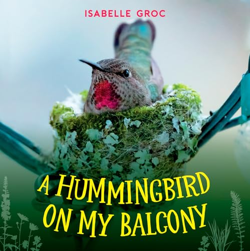 A Hummingbird on My Balcony - Hardcover