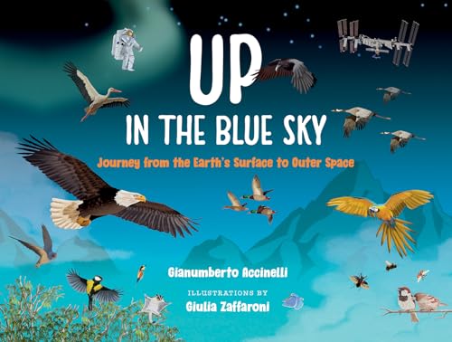 Up in the Blue Sky: Journey from the Earth's Surface to Outer Space - Hardcover