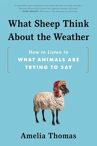 What Sheep Think about the Weather: How to Listen to What Animals Are Trying to Say - Paperback