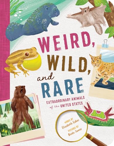 Weird, Wild, and Rare: Extraordinary Animals of the United States - Paperback