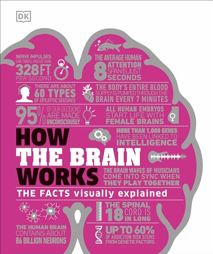 How the Brain Works: The Facts Visually Explained - Hardcover