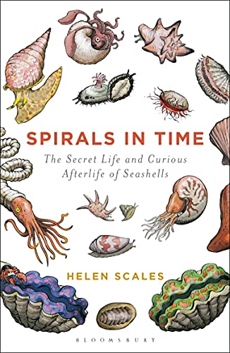 Spirals in Time: The Secret Life and Curious Afterlife of Seashells - Paperback