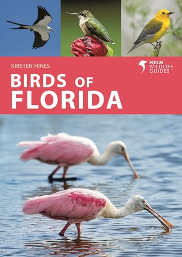 Birds of Florida - Paperback