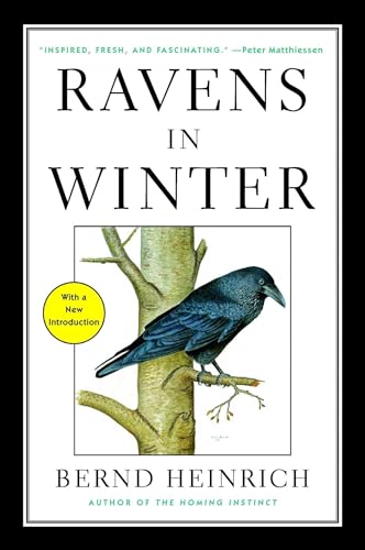 Ravens in Winter - Paperback