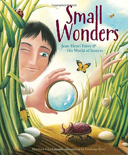 Small Wonders: Jean-Henri Fabre and His World of Insects - Hardcover