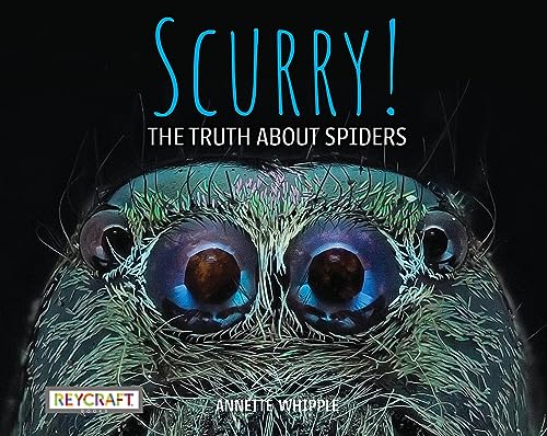 Scurry! the Truth about Spiders - Paperback