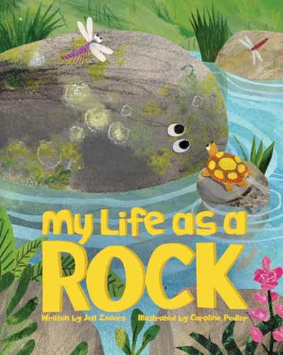 My Life as a Rock - Hardcover