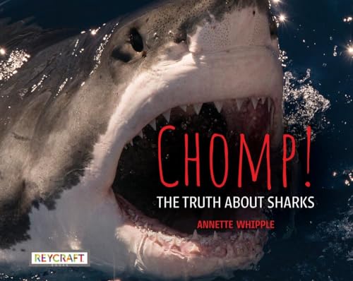 Chomp! the Truth about Sharks - Hardcover