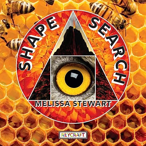 Shape Search - Hardcover