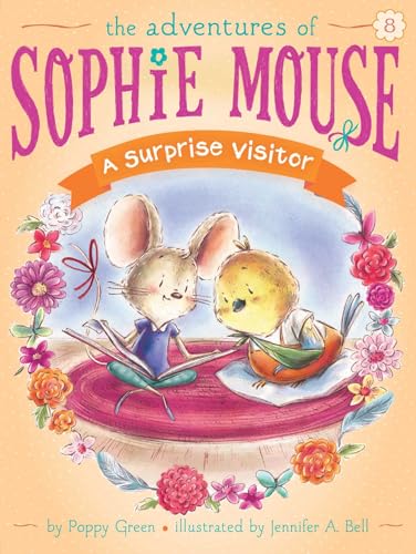 A Surprise Visitor - Paperback