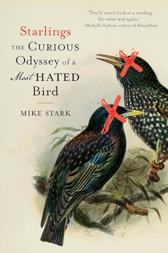 Starlings: The Curious Odyssey of a Most Hated Bird - Paperback