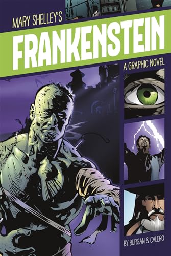 Frankenstein: A Graphic Novel - Paperback